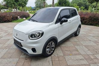 零跑汽车 零跑T03 2021款 400轻享版 磷酸铁锂