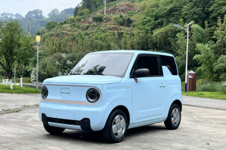 吉利银河 2023款 熊猫mini 200km 耐力熊