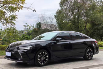 丰田 亚洲龙 2023款 2.0L 臻选版