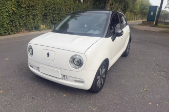 欧拉黑猫 2021款 351km 标准型