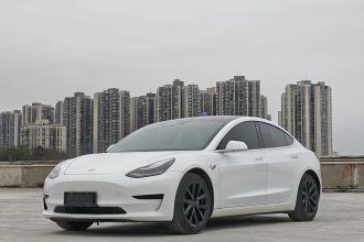 特斯拉 Model 3 2020款 标准续航后驱升级版