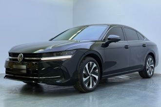 大众 迈腾 2024款  300TSI DSG尊享版显眼包