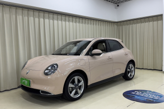 欧拉好猫 2021款 400km标准续航 维纳斯版 三元锂