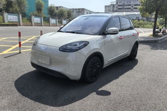 五菱汽车 五菱缤果 2023款 333km 悦享款
