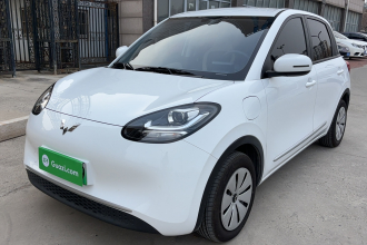 五菱汽车 五菱缤果 2024款 203km 轻享款