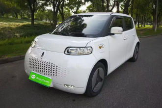 欧拉白猫 2020款 360km 豪华型