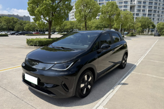 比亚迪 海豚 2025款 智驾版 410km 时尚版
