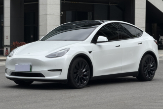 特斯拉 Model Y 2023款 高性能全轮驱动版