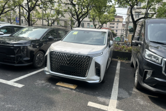 上汽大通MAXUS 大通G90 2025款 2.0T 星辉七座版