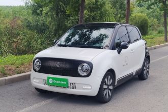 欧拉黑猫 2021款 351km 豪华型