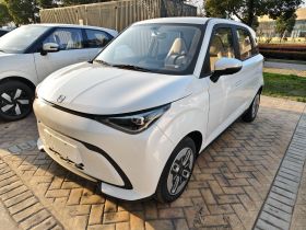 奇瑞QQ 多米 2025款 305km 舒享型