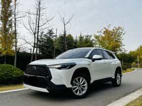 丰田 卡罗拉锐放 2023款 双擎 2.0L 先锋版