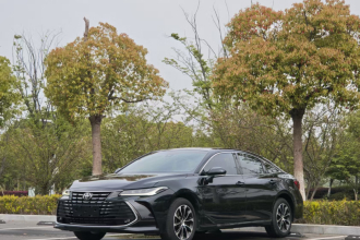 丰田 亚洲龙 2023款 2.0L 臻选版