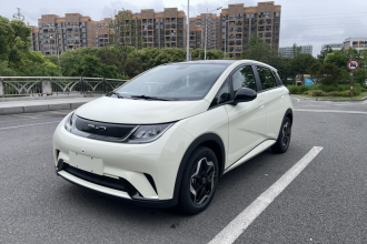 比亚迪 海豚 2021款 405km 时尚版