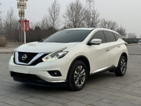 日产 楼兰 2021款 2.5L XL 两驱智联豪华版