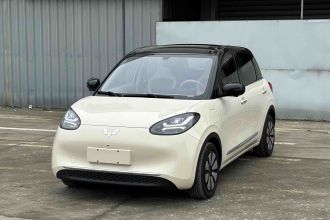 五菱汽车 五菱缤果 2025款 333km 灵犀尊享款