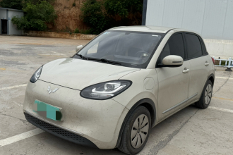 五菱汽车 五菱缤果 2023款 333km 快享款