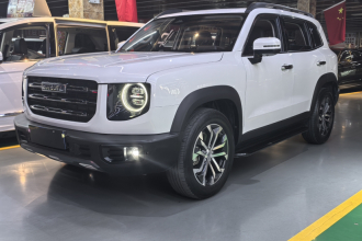 哈弗大狗 2022款 1.5T DCT两驱边牧版