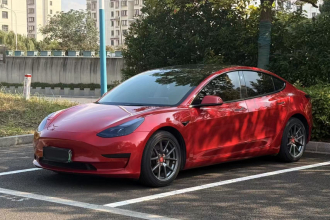 特斯拉 Model 3 2021款 标准续航后驱升级版 3D6