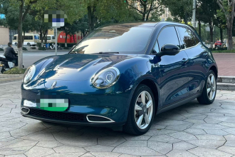 欧拉好猫 2021款 400km标准续航 维纳斯版 磷酸铁锂