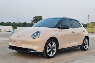 欧拉好猫 2023款 401km标准续航 尊贵型 三元锂