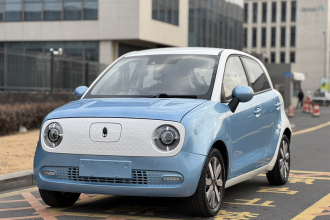 欧拉黑猫 2021款 351km 豪华型