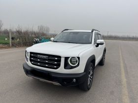 哈弗大狗 2022款 1.5T DCT两驱边牧版