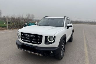 哈弗大狗 2022款 1.5T DCT两驱边牧版