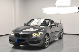 宝马2系(进口) 2019款 225i 敞篷轿跑车 运动设计套装