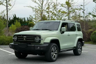 坦克300 2021款 城市版 2.0T 很有型