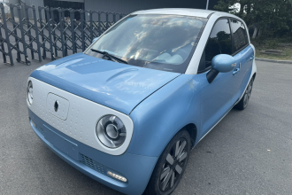欧拉黑猫 2021款 351km 豪华型