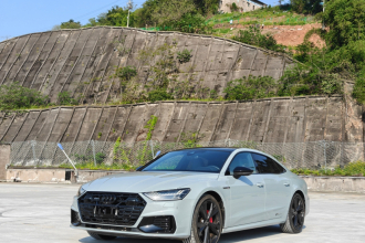 奥迪A7L 2024款 45 TFSI quattro RS 套件竞速版
