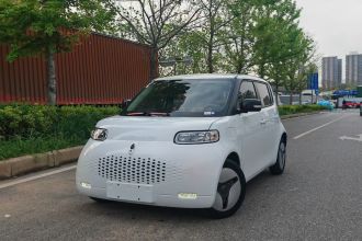 欧拉白猫 2020款 360km 豪华型