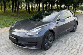 特斯拉 Model 3 2019款 标准续航后驱升级版