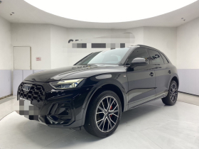 奥迪Q5L 2025款 45周年典藏版 45 TFSI 豪华动感型