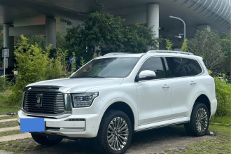 坦克500新能源 2023款 Hi4-T