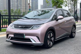 比亚迪 海豚 2021款 401km 骑士版