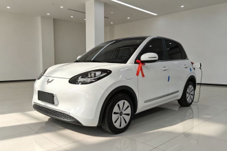 五菱汽车 五菱缤果 2024款 203km 轻享款