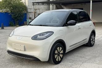 五菱汽车 五菱缤果 2024款 333km 灵犀互联款