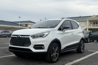 比亚迪 元新能源 2019款 EV535 高能领航版