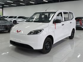 五菱汽车 五菱宏光新能源 2024款 纯电版 300KM 标准型