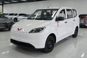 五菱汽车 五菱宏光新能源 2024款 纯电版 300KM 标准型