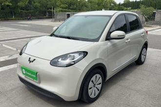 五菱汽车 五菱缤果 2023款 203km 轻享款