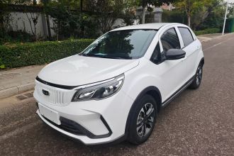 吉利几何 EX3 功夫牛 2021款 坚强牛牛