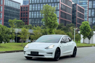 特斯拉 Model 3 2019款 标准续航后驱升级版