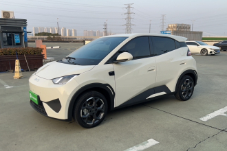 比亚迪 海鸥 2025款 智驾版 305km 自由版