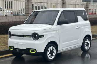 吉利银河 2025款 熊猫mini 210km 元气熊