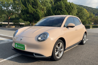欧拉好猫 2023款 401km标准续航 豪华型 磷酸铁锂