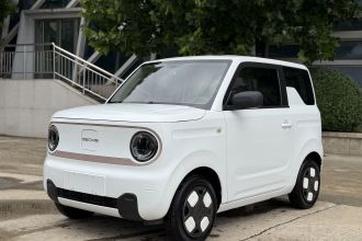 吉利银河 2024款 熊猫mini 200km 耐力熊