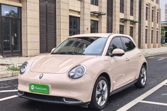 欧拉好猫 2023款 401km标准续航 豪华型 磷酸铁锂